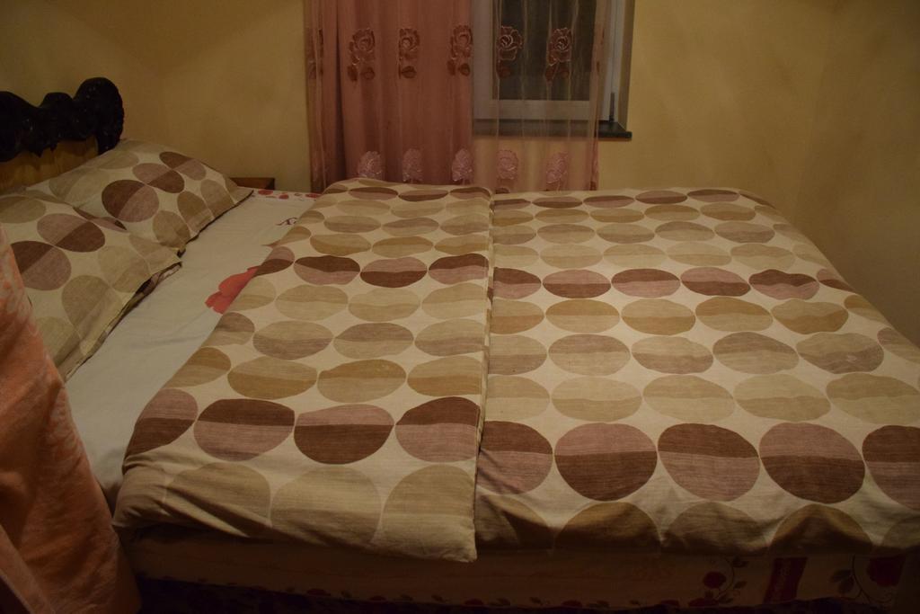 Medico And Suliko Guest House Kutaisi Zewnętrze zdjęcie